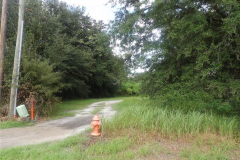 Land in Mulberry, Florida № 2380329