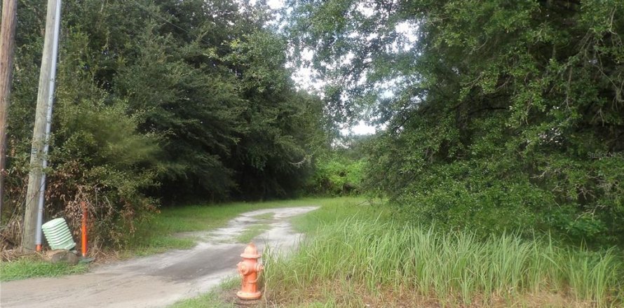 Land in Mulberry, Florida № 2380329