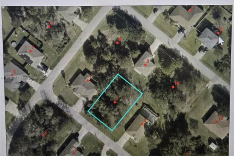 Land in Palm Coast, Florida № 1892203 - photo 1