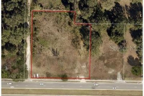 Land in Fruitland Park, Florida № 1014563 - photo 1