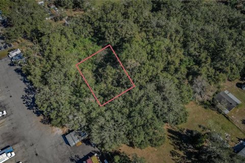 Land in Tampa, Florida № 1724025 - photo 4