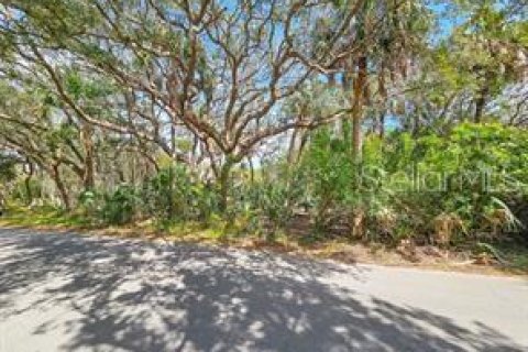 Land in Flagler Beach, Florida № 2142828 - photo 2