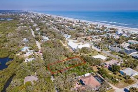 Land in Flagler Beach, Florida № 2142828 - photo 4