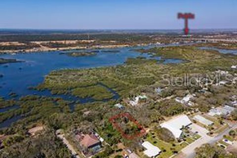 Land in Flagler Beach, Florida № 2142828 - photo 5