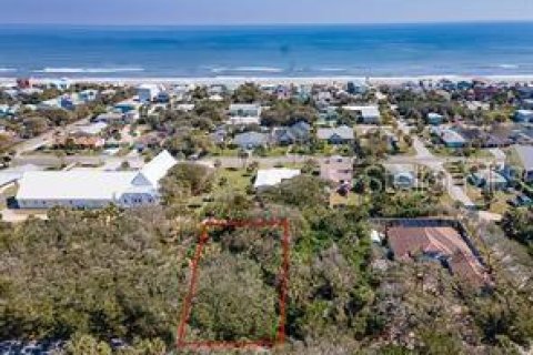 Land in Flagler Beach, Florida № 2142828 - photo 3