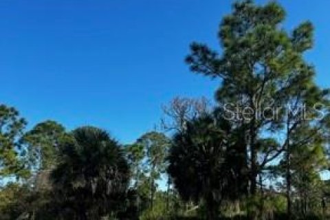 Land in Port Charlotte, Florida № 2339669