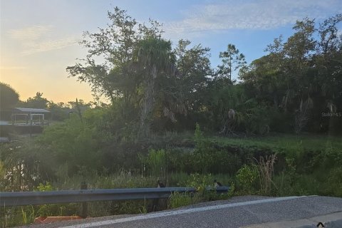 Land in Port Charlotte, Florida № 1801922 - photo 4