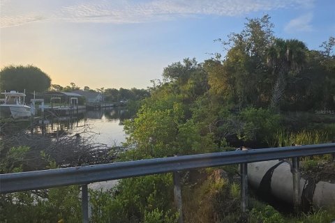 Land in Port Charlotte, Florida № 1801922 - photo 5
