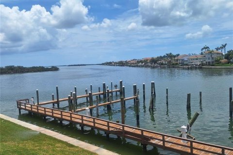 Condo in Tierra Verde, Florida, 2 bedrooms  № 1821381 - photo 12
