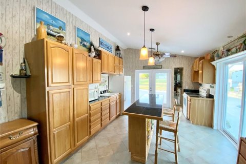 Villa ou maison à vendre à Dunnellon, Floride: 5 chambres, 457.64 m2 № 2108204 - photo 29