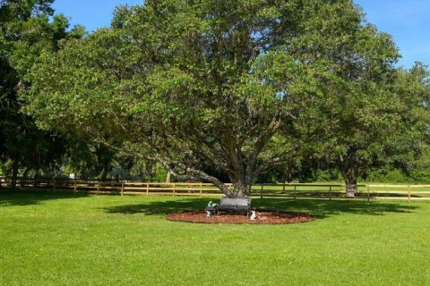 Villa ou maison à vendre à Dunnellon, Floride: 5 chambres, 457.64 m2 № 2108204 - photo 3