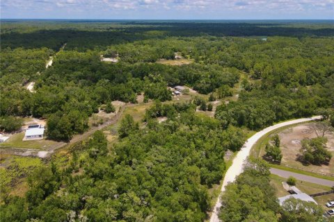 Land in Dade City, Florida № 2161635 - photo 11