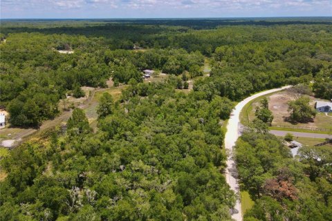 Land in Dade City, Florida № 2161635 - photo 9