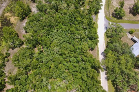 Land in Dade City, Florida № 2161635 - photo 6