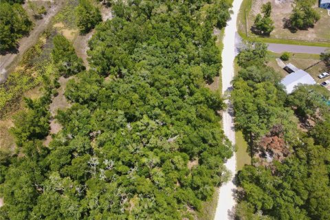 Land in Dade City, Florida № 2161635 - photo 5