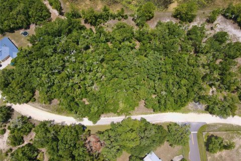Land in Dade City, Florida № 2161635 - photo 16