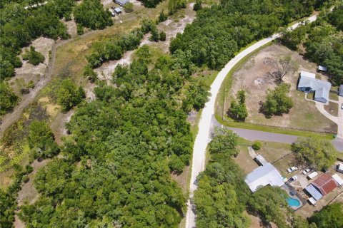 Land in Dade City, Florida № 2161635 - photo 17
