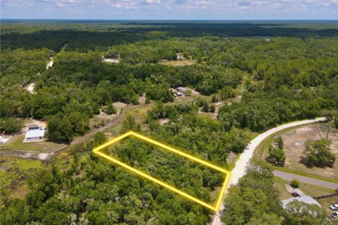 Land in Dade City, Florida № 2161635 - photo 3