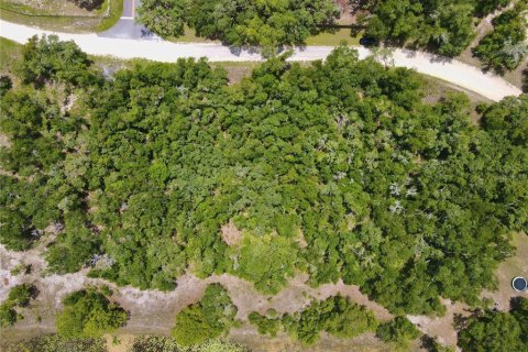 Land in Dade City, Florida № 2161635 - photo 14