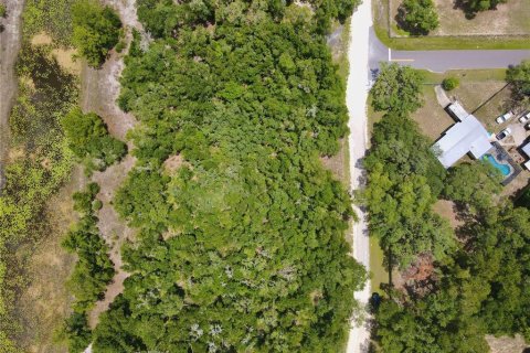 Land in Dade City, Florida № 2161635 - photo 15