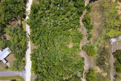 Land in Dade City, Florida № 2161635 - photo 13