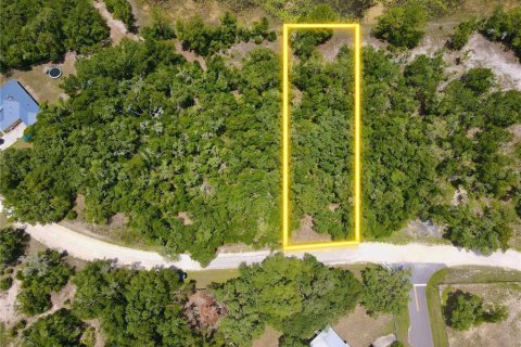 Land in Dade City, Florida № 2161635 - photo 2