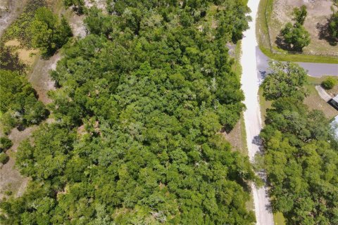 Land in Dade City, Florida № 2161635 - photo 7