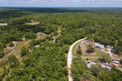 Land in Dade City, Florida № 2161635 - photo 10