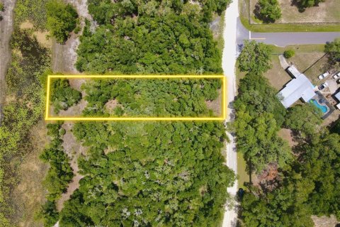 Land in Dade City, Florida № 2161635 - photo 4