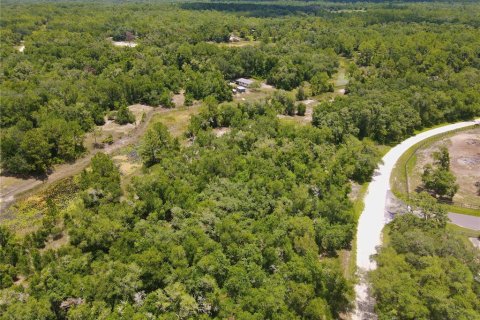 Land in Dade City, Florida № 2161635 - photo 8