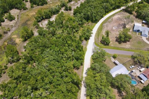 Land in Dade City, Florida № 2161635 - photo 18