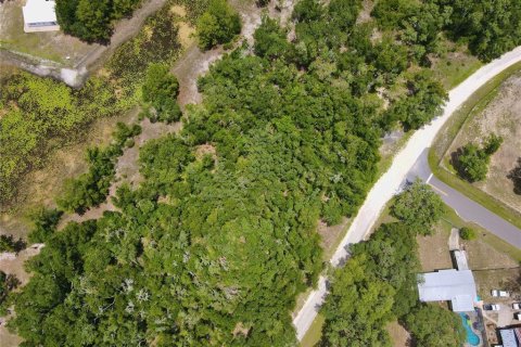 Land in Dade City, Florida № 2161635 - photo 12