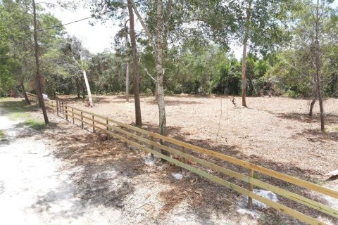 Land in Paisley, Florida № 2164645