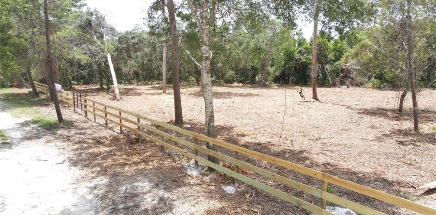Land in Paisley, Florida № 2164645