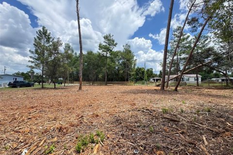 Land in Paisley, Florida № 2164645 - photo 7