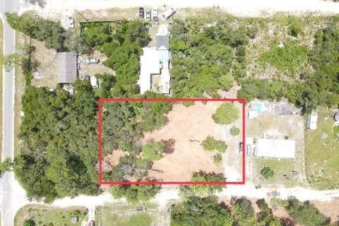 Land in Paisley, Florida № 2164645 - photo 3