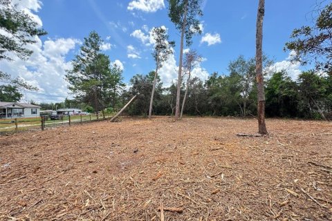 Land in Paisley, Florida № 2164645 - photo 4