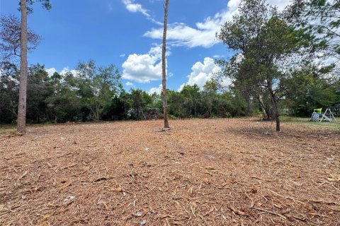 Land in Paisley, Florida № 2164645 - photo 5