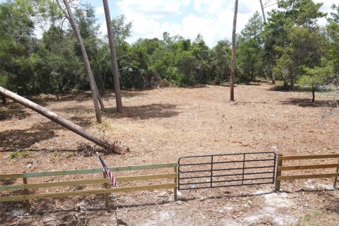 Land in Paisley, Florida № 2164645 - photo 2