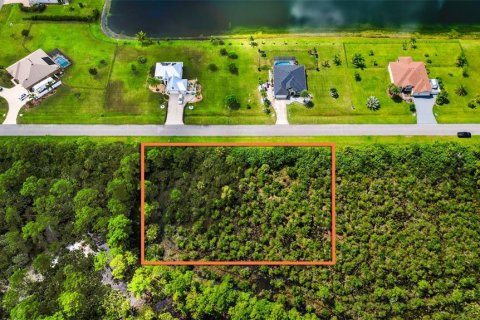 Terreno en venta en Grant-Valkaria, Florida № 1915300 - foto 4