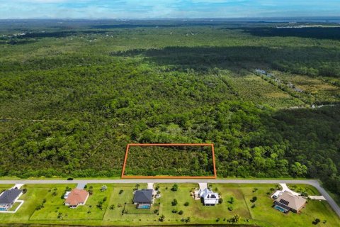 Terreno en venta en Grant-Valkaria, Florida № 1915300 - foto 6