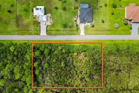 Terreno en venta en Grant-Valkaria, Florida № 1915300 - foto 1