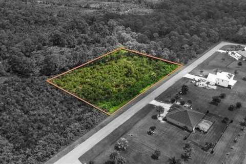 Terreno en venta en Grant-Valkaria, Florida № 1915300 - foto 8