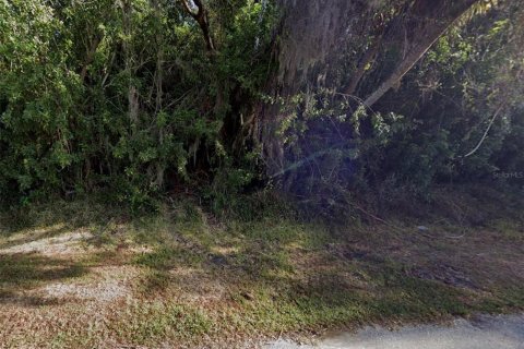 Land in Port Charlotte, Florida № 2163173