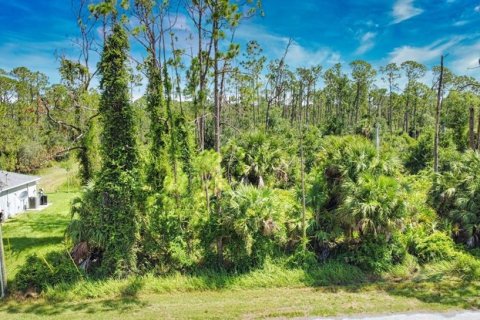 Land in North Port, Florida № 2159615 - photo 3