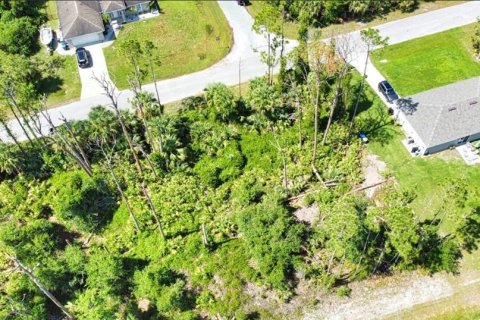 Land in North Port, Florida № 2159615 - photo 4
