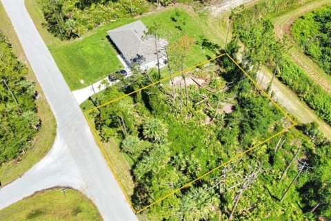 Land in North Port, Florida № 2159615 - photo 5