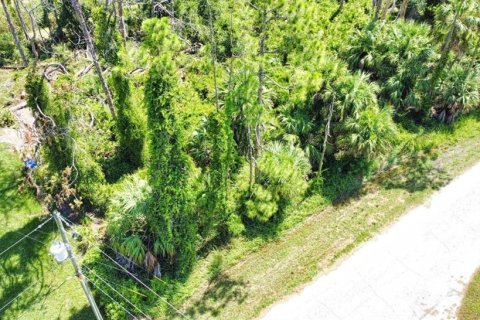 Land in North Port, Florida № 2159615 - photo 6
