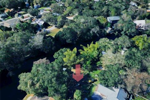 Terrain à Tampa, Floride № 2103640