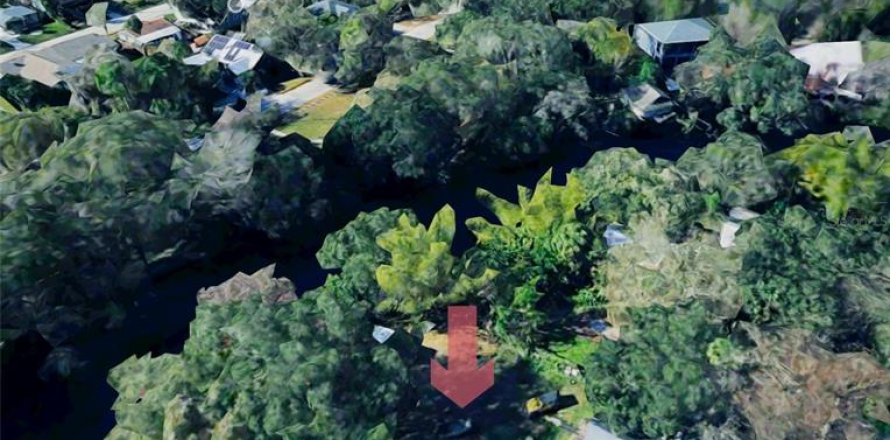 Terrain à Tampa, Floride № 2103640